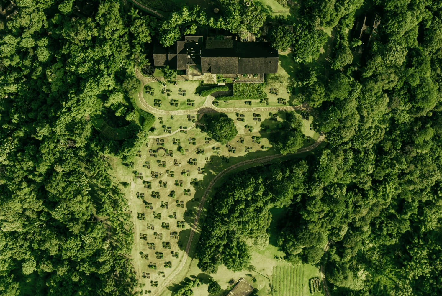 Vista aérea da propriedade do Botanique cercada por árvores
