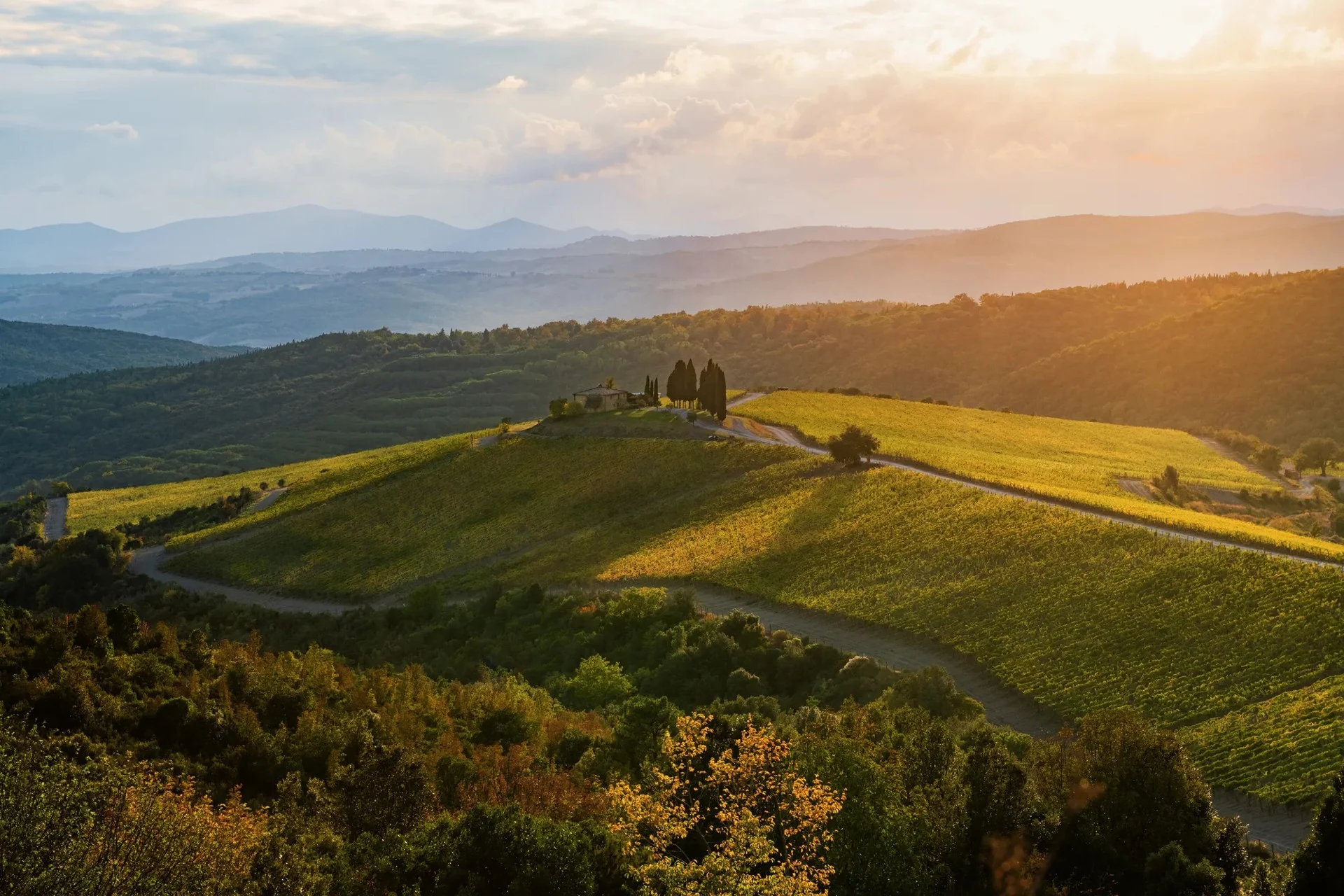 Vinhedos do Rosewood Castiglion del Bosco nas colinas da Toscana ao pôr do sol