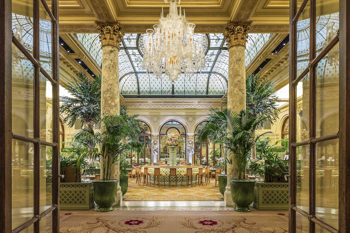 The Palm Court do The Plaza com palmeiras, mesas e teto de vidro